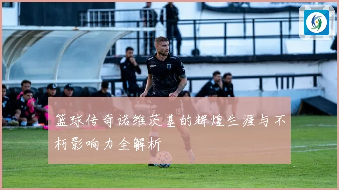 篮球传奇诺维茨基的辉煌生涯与不朽影响力全解析