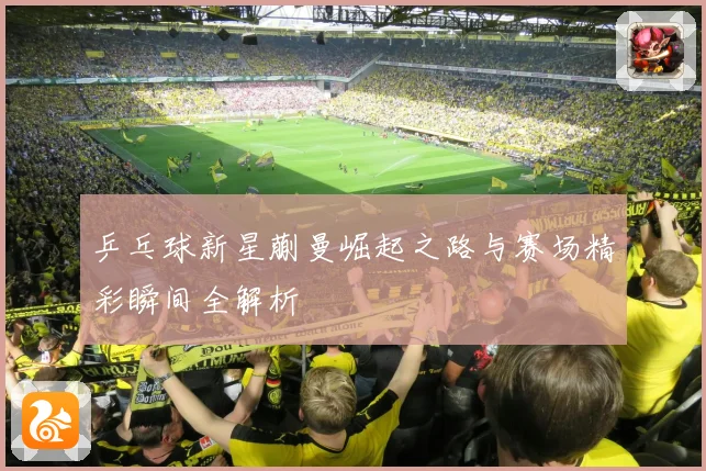 乒乓球新星蒯曼崛起之路与赛场精彩瞬间全解析