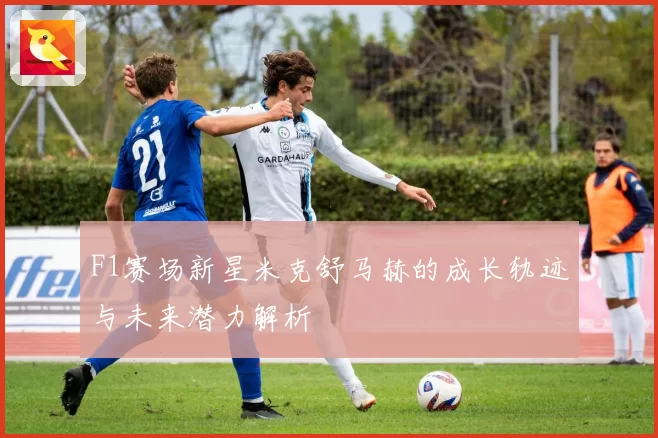 F1赛场新星米克舒马赫的成长轨迹与未来潜力解析