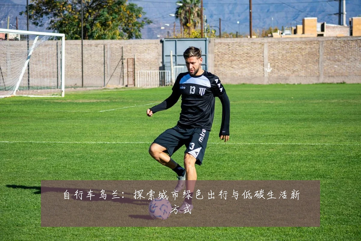 自行车乌兰：探索城市绿色出行与低碳生活新方式