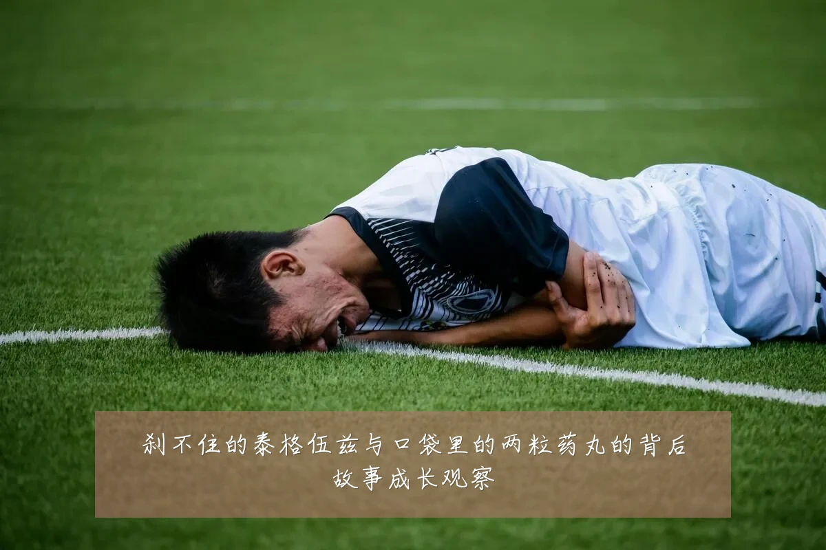 刹不住的泰格伍兹与口袋里的两粒药丸的背后故事成长观察