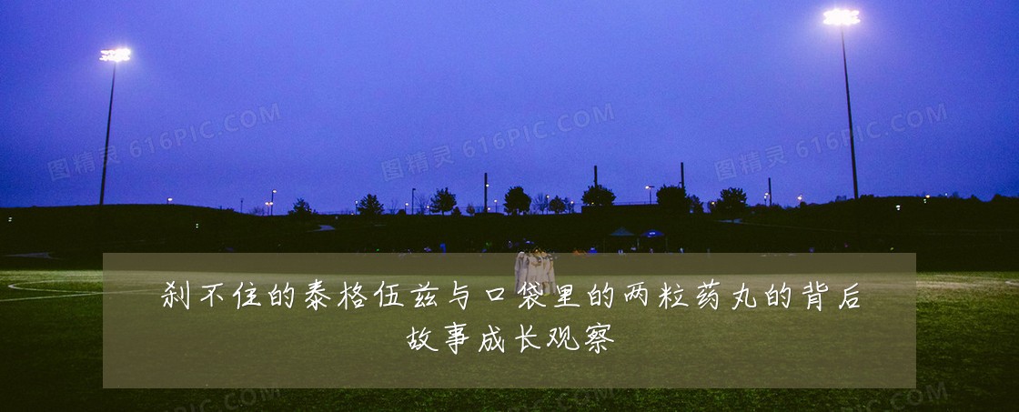 刹不住的泰格伍兹与口袋里的两粒药丸的背后故事成长观察